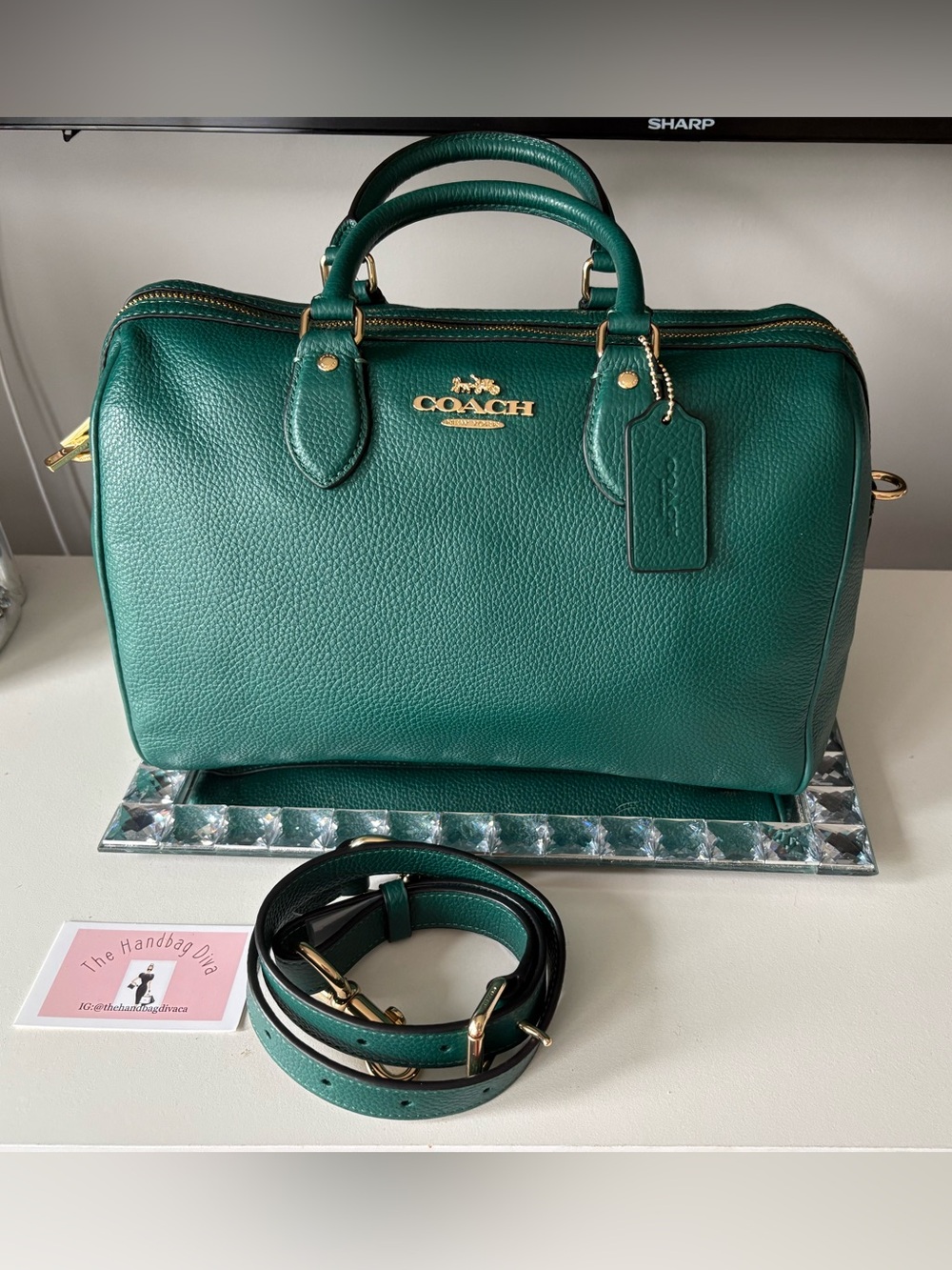 🍀New Coach Emerald Large Rowan CES11🍀
